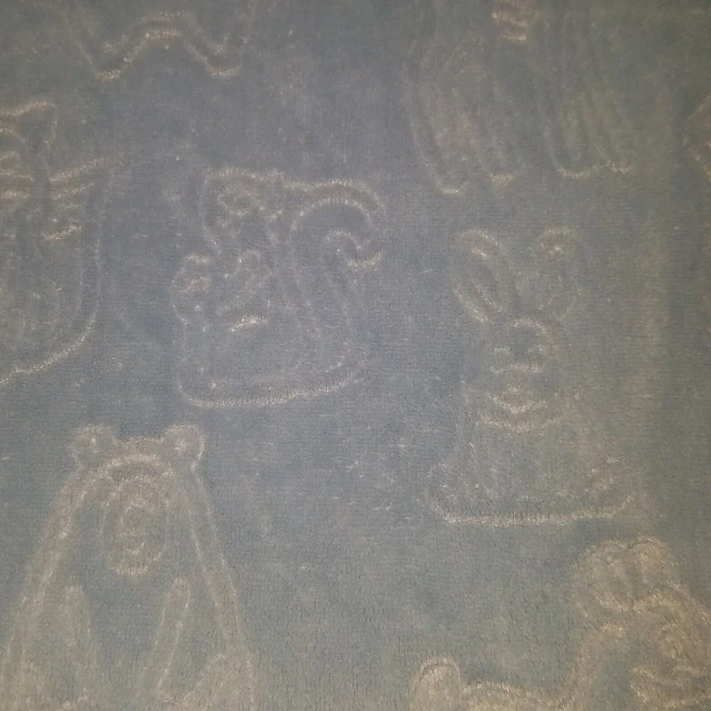 Baby Thro Blue Embossed Blanket Forest Animals Bear Deer Raccoon Rabbit